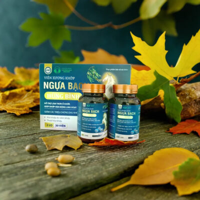 Sofa phòng khách SF08